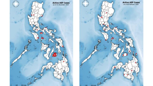 Casos activos de Peste Suína Africana nas Filipinas a 6 de Fevereiro de 2026 (esquerda) comparados com 31 de Dezembro de 2025 (direita). Fonte: BAI.