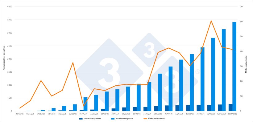 Evolução do surto de PSA na Catalunha, dados cumulativos, excepto para o número médio de animais analisados por dia. Fonte: 333 com base em actualizações emitidas pelo Ministério da Agricultura, Pescas e Alimentação (MAPA).