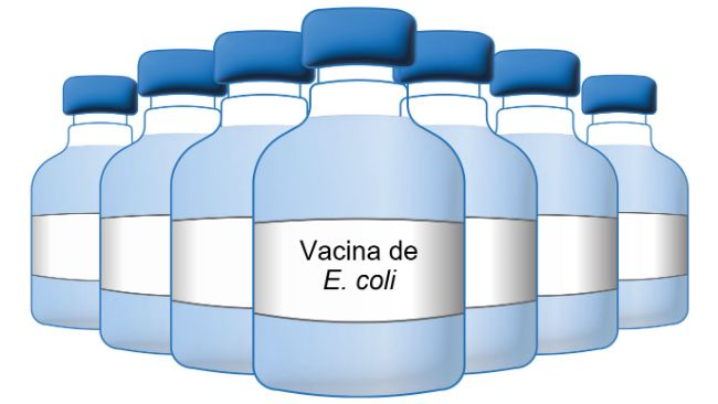 Vacuna de E coli