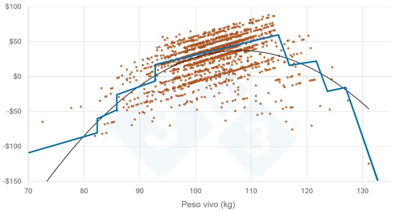 Figura 3: Lucro por cabeça - porcos individuais representados graficamente. Nota: as estrias nos pontos de dados devem-se à categorização das características da carcaça, como a percentagem de carne magra ou a espessura da gordura dorsal..