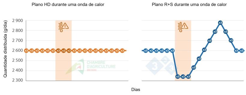 Exemplo de plano de alimentação durante uma onda de calor. Fonte: CAB.