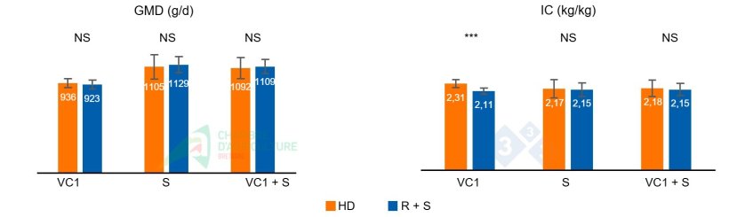 Figura 1: GMD e IC durante a primeira onda de calor do lote 1 (VC1), durante a fase de sobrealimentação (S) que se seguiu e no acumulado de ambas as fases (VC1 + S).