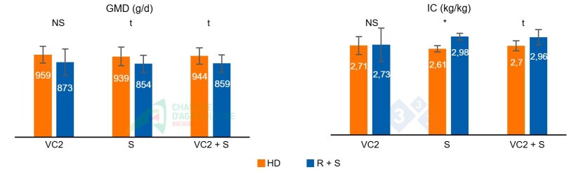 Figura 2: GMD e IC durante a segunda onda de calor do lote 1 (VC2), durante a fase de sobrealimentação (S) que se seguiu e no acumulado de ambas as fases (VC2 + S).