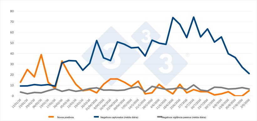Evolução dos casos positivos, capturas e vigilância passiva semanal nas Zonas I e II. Fonte: 333 com base em dados do MAPA.