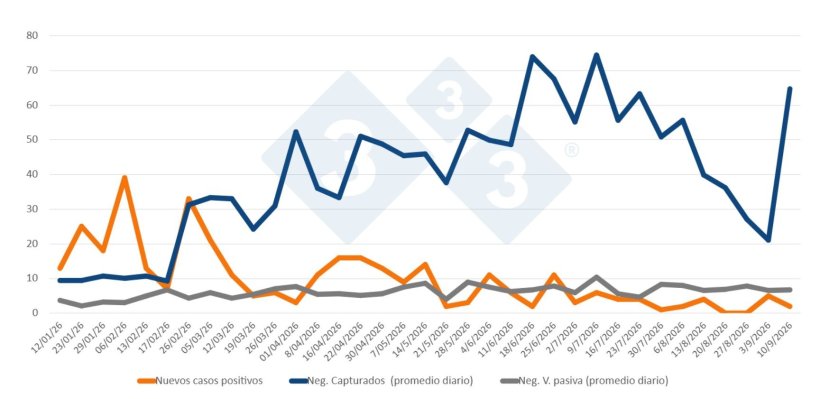 Evoluci&oacute;n de positivos, capturas y vigilancia pasiva semanal en las zonas I y II. Fuente: 333 a partir de datos del MAPA.