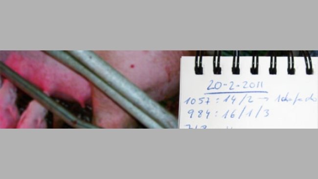 Monitorización de partos