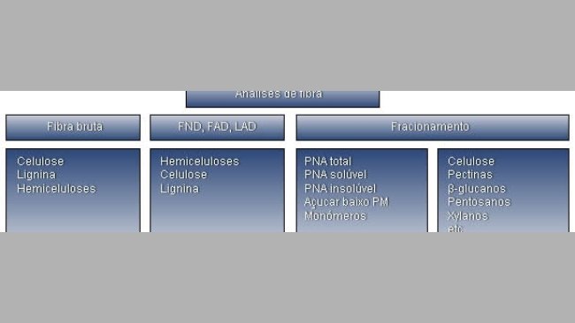 Resumo das diferentes técnicas analíticas e fracções da fibra