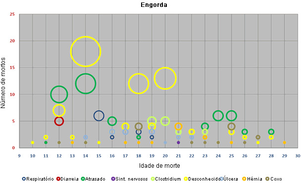 distribuição engorda 1