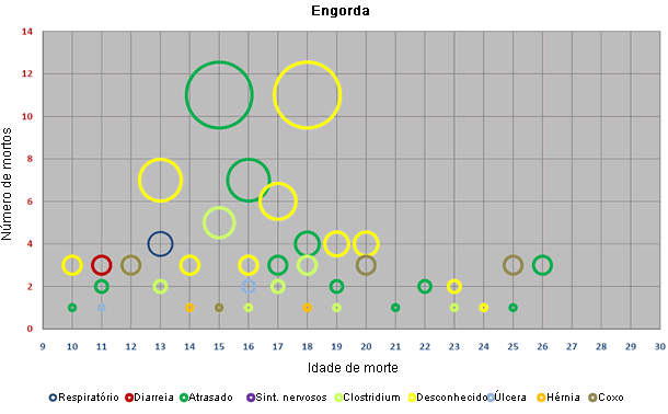 distribuição engorda 1