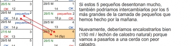  &iquest;C&oacute;mo igualamos camadas tras el parto? (IV) Precauciones especiales