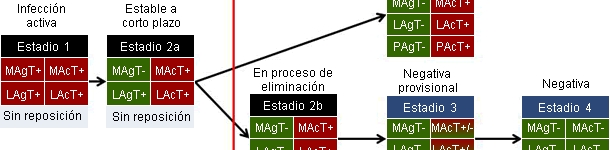 Definiciones de trabajo del manejo de lechones y cerdas basadas en el estatus de PRRS de la explotaci&oacute;n