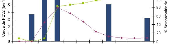 A rela&ccedil;&atilde;o entre o n&iacute;vel (ou % de animais com resposta positiva) de IgM e IgG &eacute; indicativo do momento em que se iniciou a infec&ccedil;&atilde;o ou circula&ccedil;&atilde;o v&iacute;rica