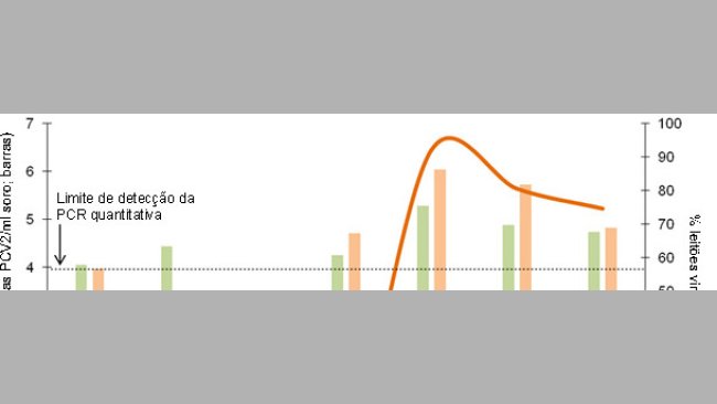 Comparativo da dinâmica da percentagem de leitões virémicos e carga vírica média nos leitões virémicos