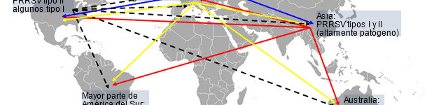 Distribuci&oacute;n mundial del PRRSV y transmisi&oacute;n intercontinental hipot&eacute;tica