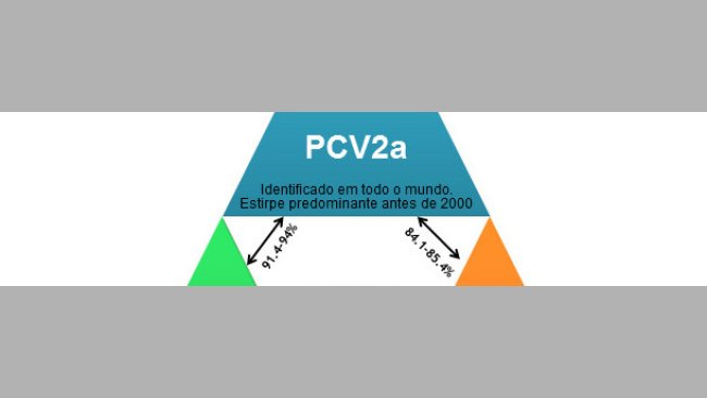 Principales genotipos de PCV2 y su relación en base a los genes de la cápside.