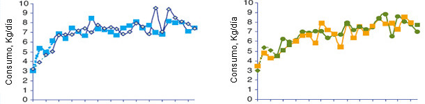 Evolu&ccedil;&atilde;o do consumo m&eacute;dio di&aacute;rio das porcas segundo o lote no momento da transi&ccedil;&atilde;o alimentar.