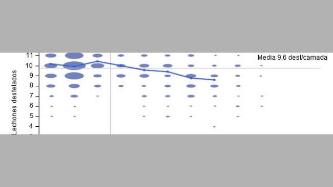 Número de destetados por parto en los 6 meses anteriores
