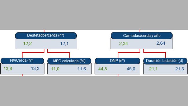 Árbol de productividad