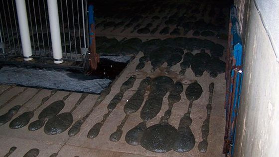 Espuma sobresaliendo del suelo de slat