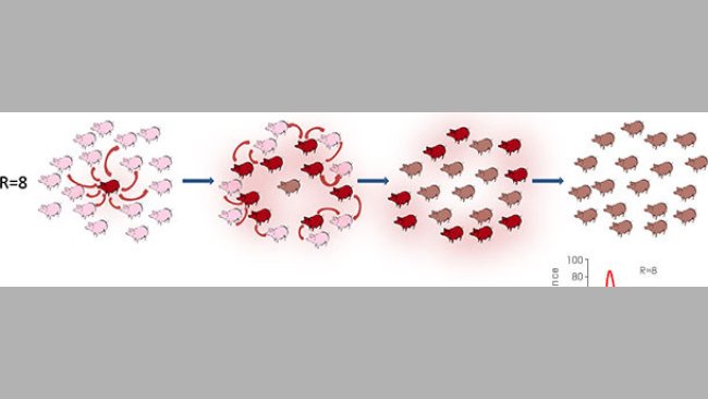 Tasa de reproducción en un contexto epidémico o endémico