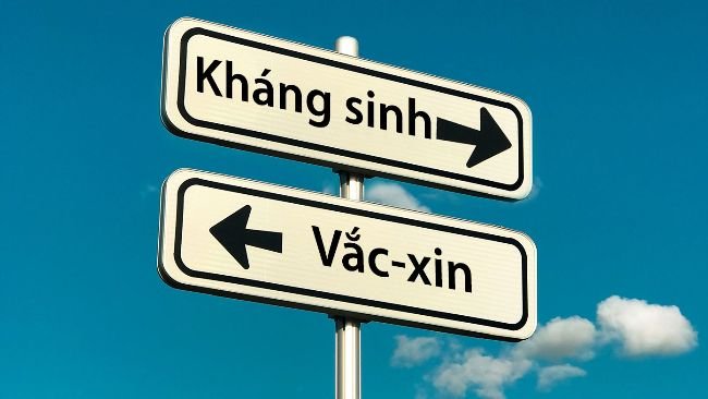 Việc tăng cường sản xuất thực phẩm từ động vật và sự xuất hiện của các hệ thống sản xuất mới (chẳng hạn như hệ thống chăn nuôi không dùng kháng sinh hoặc hệ thống hữu cơ) đã dẫn đến sự xuất hiện hoặc tái xuất hiện một số mầm bệnh. Những xu hướng xã hội mới này, cùng với mong muốn giảm sử dụng kháng sinh vật trong chăn nuôi, nêu bật tầm quan trọng của việc cải tiến các loại vắc-xin hiện có và/hoặc phát triển các chiến lược tiêm phòng mới để chống lại mầm bệnh mới xuất hiện hoặc tái xuất hiện.