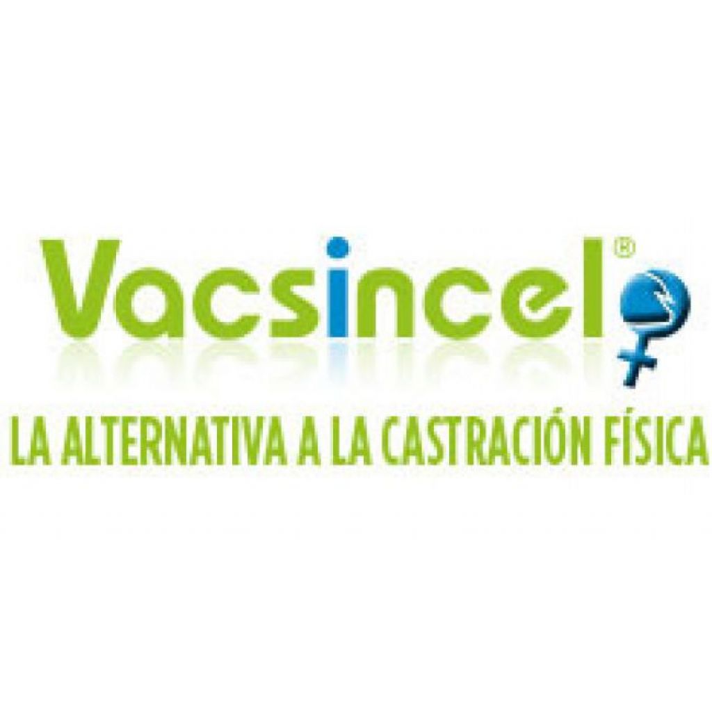 Vacsincel