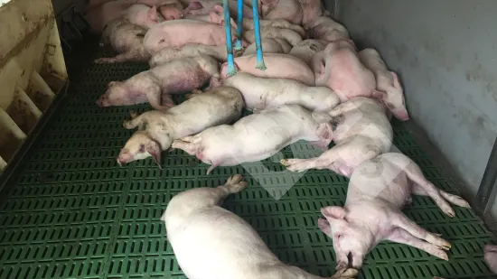 Semana de 18-Out-2018